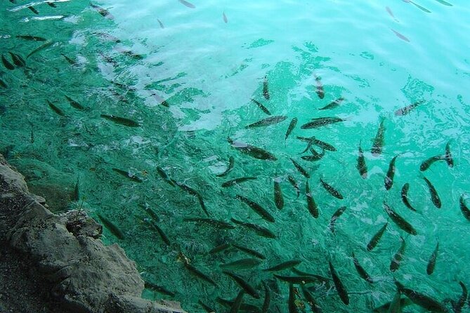 Split to Zagreb or Airport Zagreb via Plitvice Lakes for Singles or Couples - Frequently Asked Questions