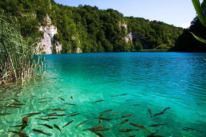 Split to Zagreb via Plitvice National Park Private Transfer - Pricing and Booking