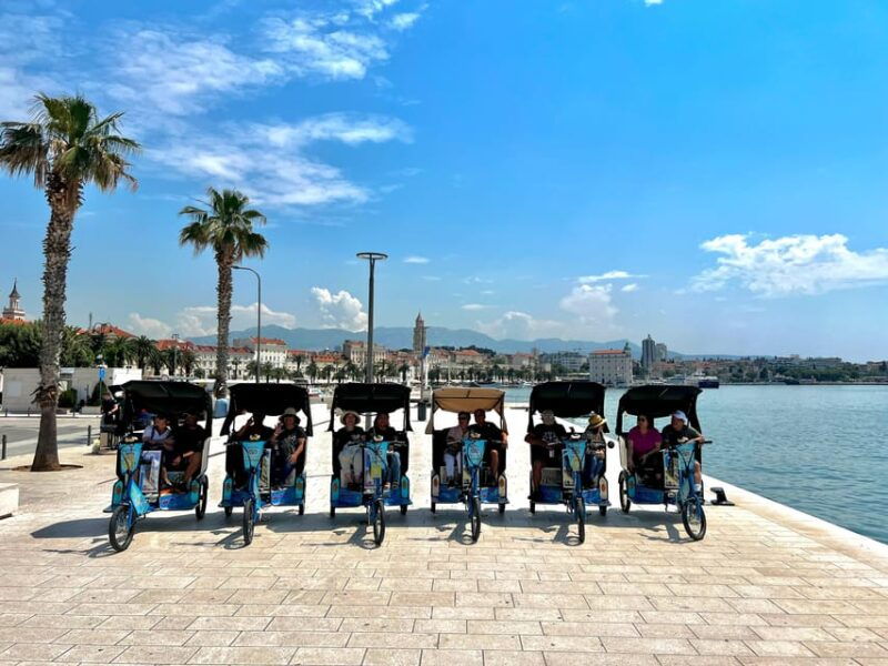 Split Tour in Private Electric Rickshaw - Transportation and Group Size