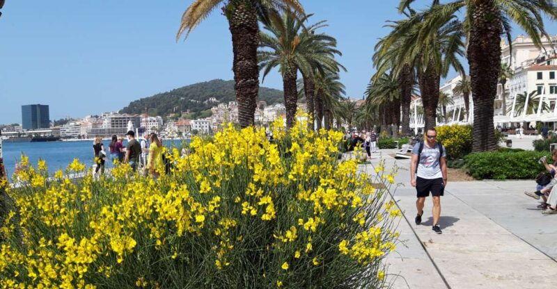 SPLIT:PRIVATE Emperor's Walk for History Lovers+Museum - Why This Tour Works Well