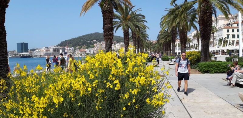 SPLIT:PRIVATE Emperor's Walk for History Lovers+Museum - Who Should Consider This Tour?
