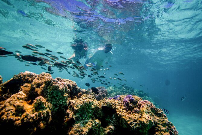 SPORT Catamaran Bora Bora : Sailing Snorkeling & Floating Bar - Who Is This Experience Best For?