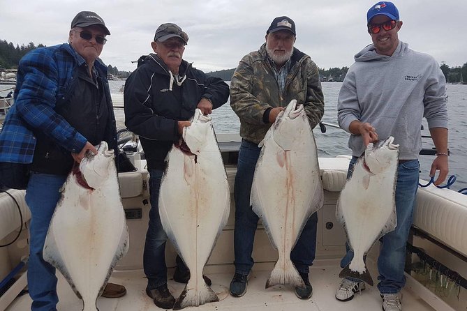 Sport Fishing Adventure on the Rugged West Coast of Vancouver Island - Wildlife Spotting Opportunities