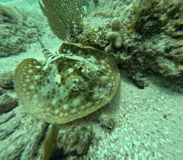 Sport Fishing and Snorkeling in the Reef in Costa Maya - Booking and Cancellation