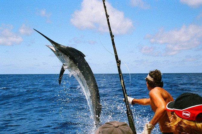 Sport Fishing at the Caribbean Sea. Enjoy an Amazing Time With Friends & Family - Popular Fish Species in the Caribbean Sea