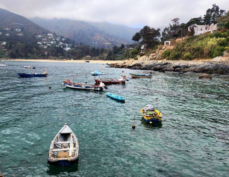 Sport Fishing by Boat & Chilean Empanadas From Valpara - Activity Inclusions