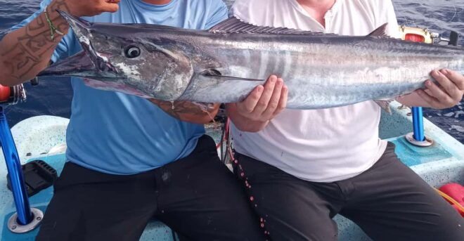Sport Fishing Costa Maya, Mahahual Q. Roo - Fishing Experience