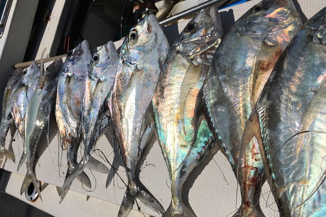Sport Fishing - Expectations and Additional Information
