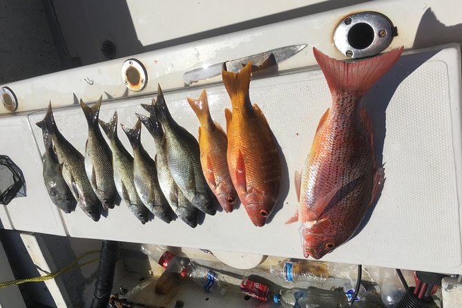 Sport Fishing - The Sum Up