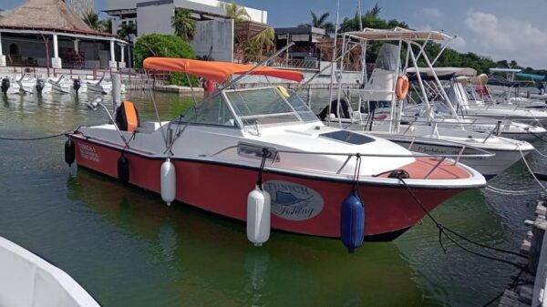 Sport Fishing: Fishing in the Lagoon or Sea - Frequently Asked Questions