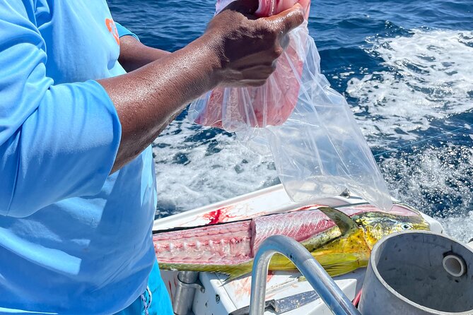 Sport Fishing Guided Half Day Private Charter Costa Rica - Location and Meeting Point