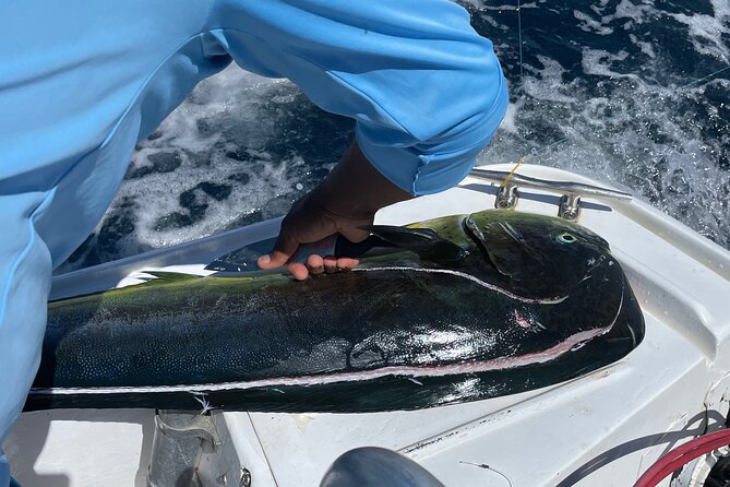 Sport Fishing Guided Half Day Private Charter Costa Rica - Booking Information
