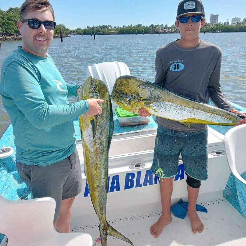 Sport fishing in mazatlan - Good To Know