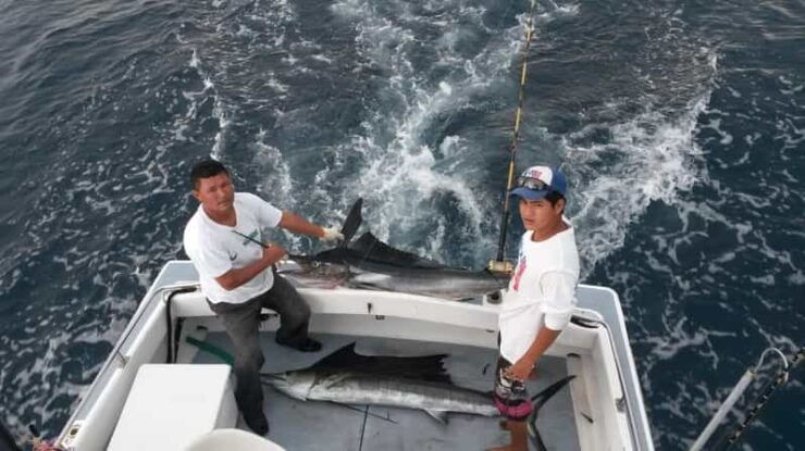 Sport Fishing on Board a Luxury Yacht in Puerto Vallarta - Good To Know
