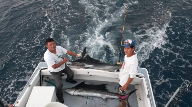 Sport Fishing on Board a Luxury Yacht in Puerto Vallarta - Highlights of the Fishing Experience