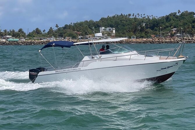 Sports Boat- Private Whale Watching Trip( Free Breakfast & Paid Pick-Up) - Meeting Point and Directions