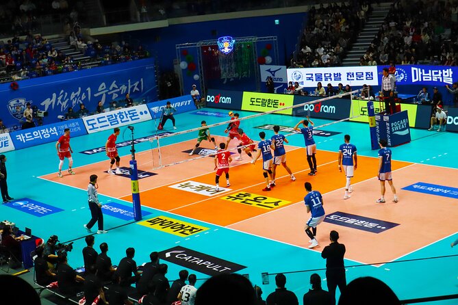 Sports Match in Seoul With Guided K-Food Experience - Reviews