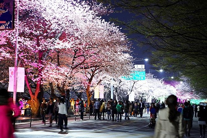 Spring 3 Days Seoul & Mt Seorak Cherry Blossom With Nami Island on 7 to 14 Apr - Cherry Blossom Viewing Locations