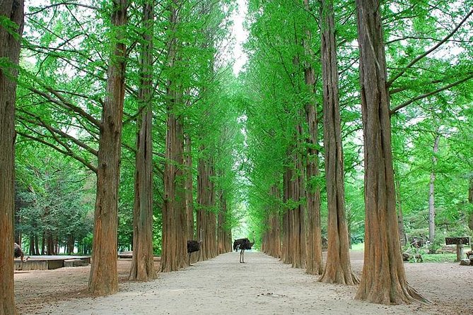 Spring 3 Days Seoul & Mt Seorak Cherry Blossom With Nami Island on 7 to 14 Apr - Mt Seorak Hiking Adventure