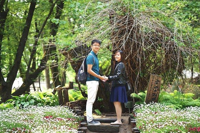 Spring 3 Days Seoul & Mt Seorak Cherry Blossom With Nami Island on 7 to 14 Apr - Cultural Activities and Sightseeing in Seoul