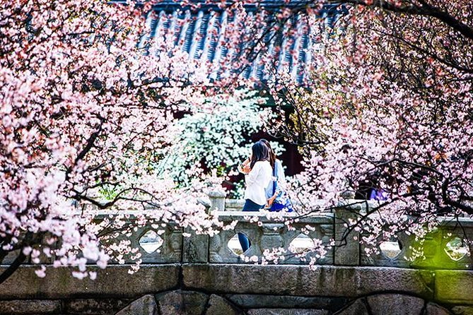Spring 4 Days Seoul&Mt Seorak Cherry Blossom With Nami & Everland on 7 to 14 Apr - Cancellation Policy and Refund Information