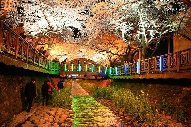 Spring 5 Days Cherry Blossom Jeju&Busan&Jinhae&Gyeongju on 31 Mar to 10 Apr - Pricing and Booking Information