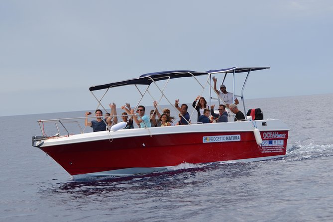 Spring & Autumn Tour: Dolphin Watching - Eco-friendly Certification and Support