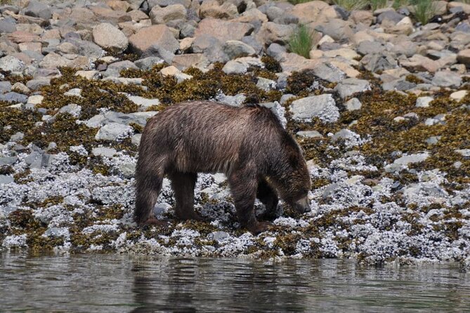 Spring Bear and Waterfall Tour - Tour Itinerary