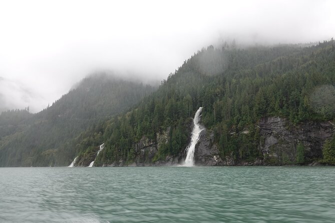 Spring Bear and Waterfall Tour - Important Information