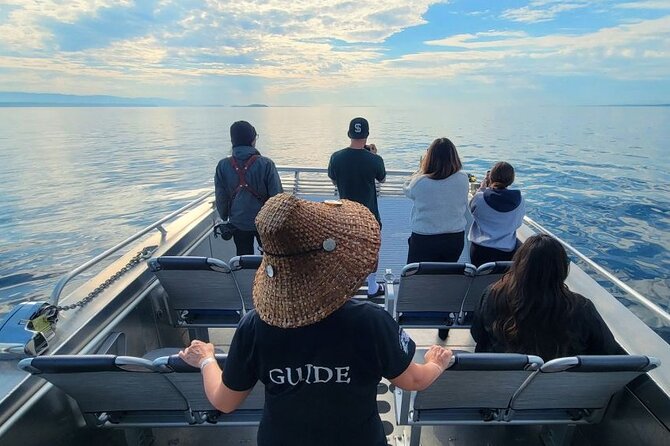 Spring Bears and Whales in Campbell River Tour - Common Questions