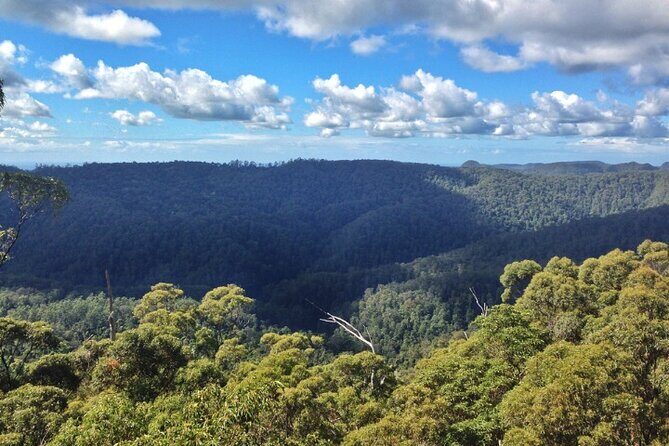 Spring Brook National Park Self Guided Driving Tour - Practical Aspects of the Tour