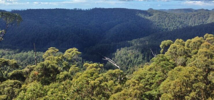 Spring Brook National Park Self Guided Driving Tour - Tour Description and Itinerary