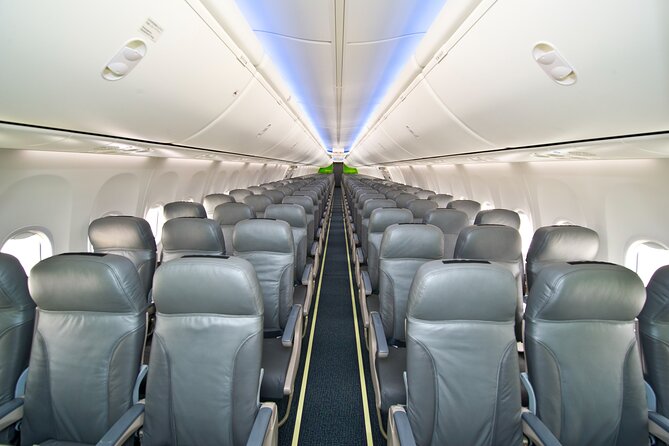 Spring Japan  New Years Sunrise Flight From NRT - Pricing and Guarantee
