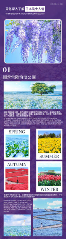 Spring Limited: Ashikaga Flower Park Night Wisteria & Hitachi Seaside Park Baby Blue Eyes & Kamisukisa Torii Archway Day Trip | Departure from Tokyo - Hitachi Seaside Park: blue hills, with a clock running