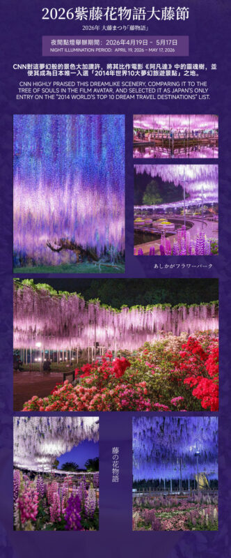 Spring Limited: Ashikaga Flower Park Night Wisteria & Hitachi Seaside Park Baby Blue Eyes & Kamisukisa Torii Archway Day Trip | Departure from Tokyo - The bus ride and guide make the day possible