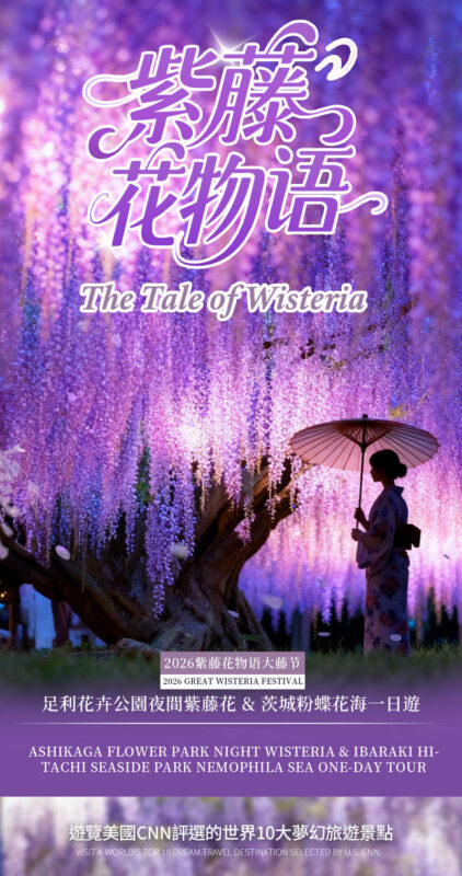 Spring Limited: Ashikaga Flower Park Night Wisteria & Hitachi Seaside Park Baby Blue Eyes & Kamisukisa Torii Archway Day Trip | Departure from Tokyo - Who will get the most from this day trip