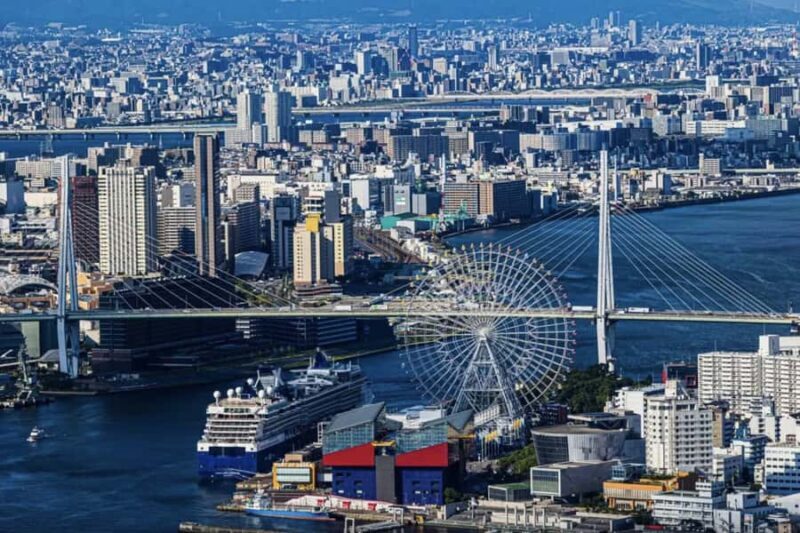 Spring LimitedNemophila Festival & Osaka Kaiyukan Day Trip - Introduction to the Tour