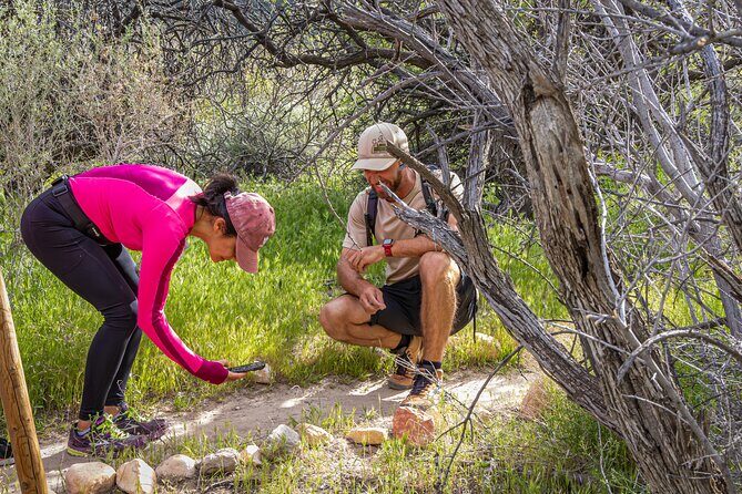 Spring Mountain Ranch Hike with Happy Hour Drinks - Practical Tips for Your Trip