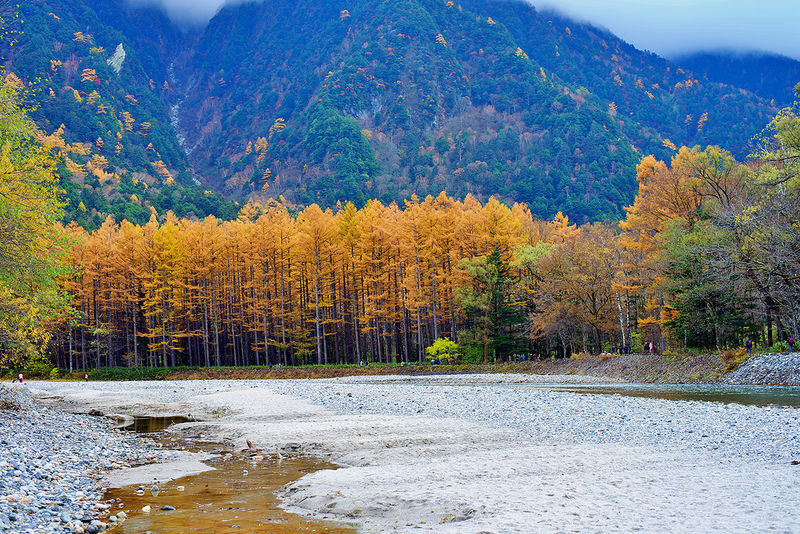 Spring, Summer, and Autumn Hiking Trip | Kamikochi x Shirakawa-go x Hida Takayama 2-Day Tour | Departure from Nagoya | Includes Resort Hotel - Is US$250.99 good value?