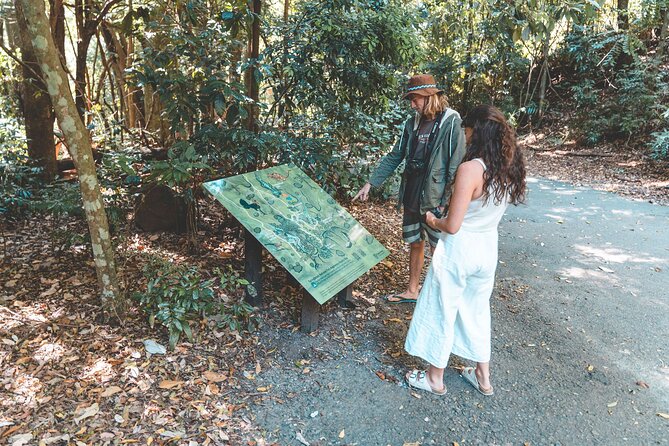 Springbrook Andtamborine Rainforest Tour Incl Natural Bridge and Glow Worm Cave - Tour Overview and Itinerary