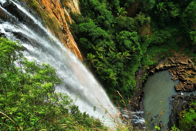 Springbrook National Park Shared Waterfalls Tour  - Surfers Paradise - Pickup and Transportation