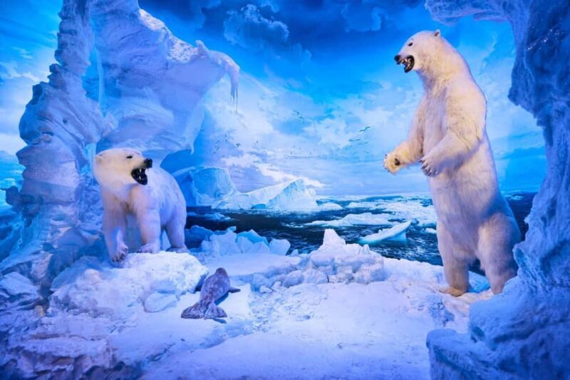 Springfield: Wonders of Wildlife National Museum & Aquarium - Why This Tour Stands Out