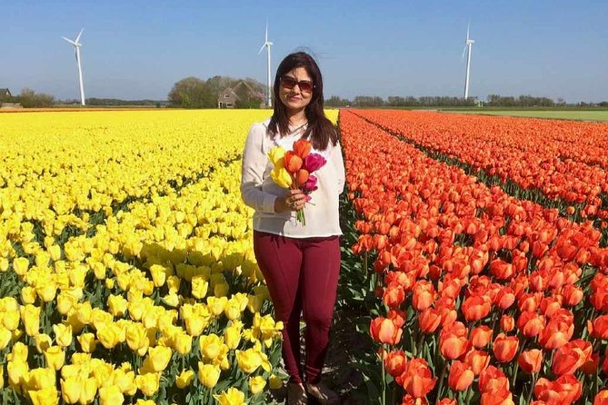 Springtime Private Tour to Keukenhof, Tulip Fields and Windmills - Reviews and Overall Rating