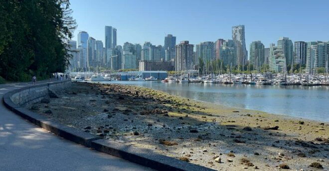 Squamish EUC & E-Scooters Beginner Tour (Vancouver Transfer) - Guided Experience
