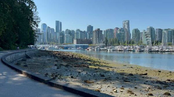 Squamish EUC & E-Scooters Beginner Tour (Vancouver Transfer) - Frequently Asked Questions