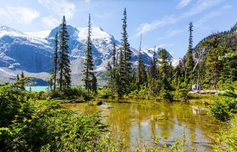 Squamish-Lillooet: Joffre Lakes Guided Hike - The Value of a Guided Experience