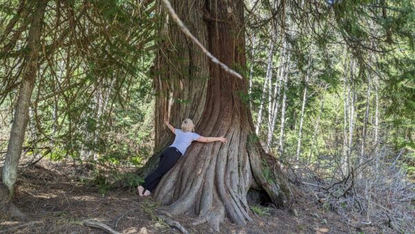 Squamish: Tour, Forest Educational & Meditative Walk - Educational Components