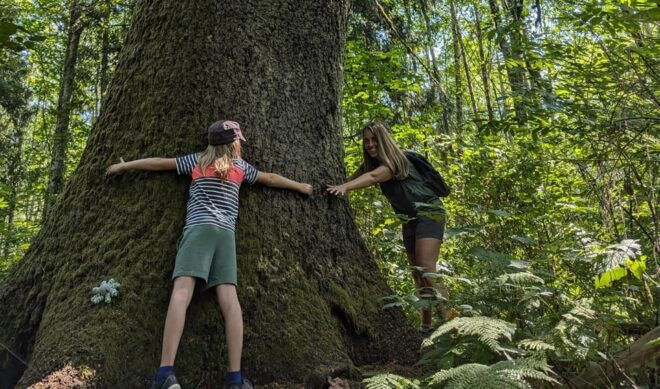Squamish: Walk, Forest Experiential Learning for Families - Itinerary Details