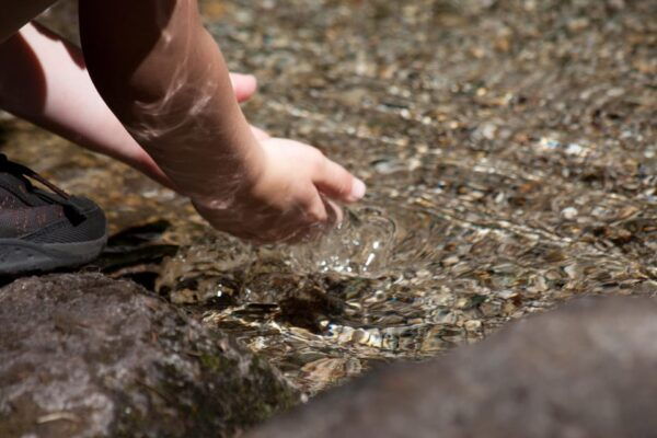 Squamish: Walk, Forest Experiential Learning for Families - Preparing for the Adventure