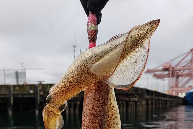 Squid Fishing on Private Guided Boat in Seattle City Waterfront - Activity Details